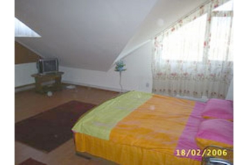 Romania Privát Prisaca Dornei, Eksteriør